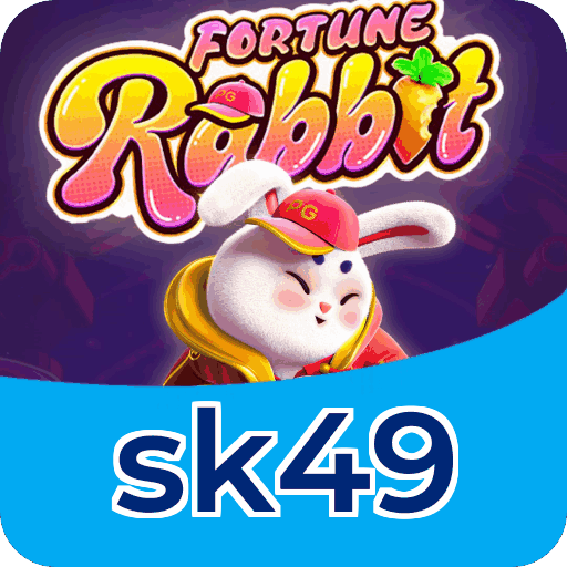sk49 Fortune — dados de jogo e conta conforme LGPD